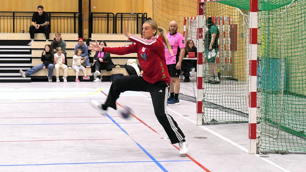 Málverjin hjá VÍF kvinnum heim til Danmarkar